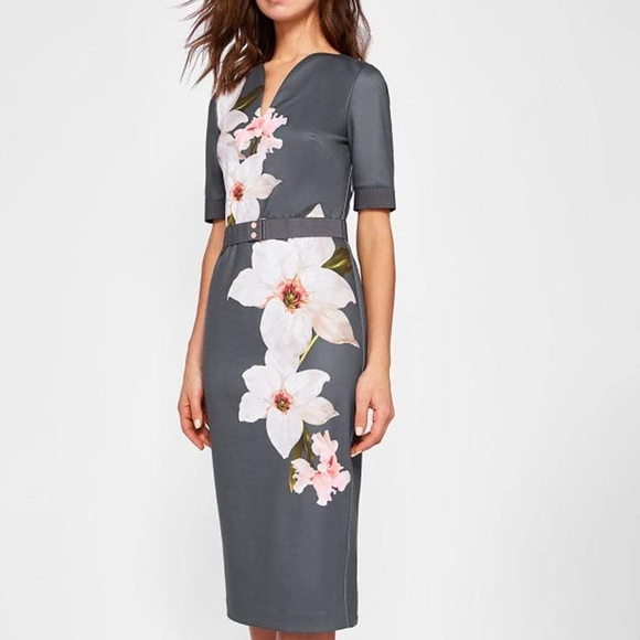 Ted Baker NWT Bisslee Chatsworth Floral Bloom Bodycon Dress Size 2 - Picture 1 of 11